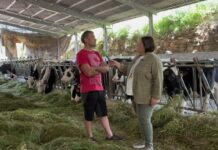 Entrevista a Diego Palacios Alonso de Ganadería La Muela de San Justo (Villaviciosa)