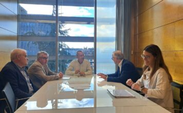 El Principado aprobará el decreto para suspender las autorizaciones de parques de baterías antes de fin de año