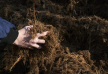 Ence alcanzará una producción de biometano de 1TWh año en el ejercicio 2030