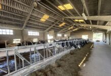 Los agricultores y ganaderos de Asturias perciben 39,9 millones de euros en pagos anticipados de las ayudas directas de la PAC