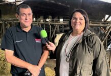 Entrevista a Jordi Tost, director técnico de Gav-Allfeed en ganadería Gomezán