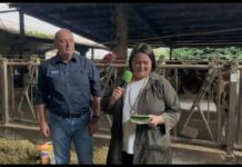 Entrevista a Javier Álvarez, gerente de Nutrigan, distribuidor en Asturias de Allfeed