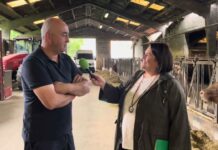 Entrevista a Pedro Rodríguez, titular de Ganadería Gomezán (Llanes)