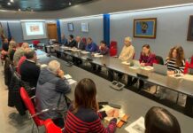 Medio Rural inicia un plan de contingencia ante la detección de cuatro ejemplares de avispón ‘soror’, originario del sureste asiático