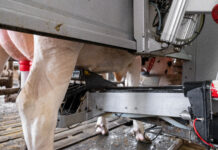 DELAGRO presenta su nueva solución para mejorar la higiene en granjas robotizadas