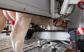 DELAGRO presenta su nueva solución para mejorar la higiene en granjas robotizadas