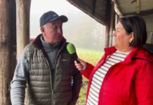 Entrevista a José Manuel González Álvarez, ganadero de equino de Carraluz (Lena)