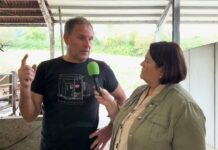 Entrevista a Telmo Entrecanales, gerente de Agrotec Entrecanales, distribuidor Lely