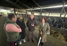 Medio Rural destina 6,5 millones a un paquete de medidas de sanidad animal, un área prioritaria de sus cuentas para 2025