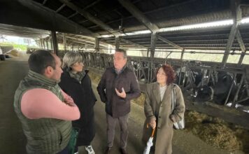 Medio Rural destina 6,5 millones a un paquete de medidas de sanidad animal, un área prioritaria de sus cuentas para 2025