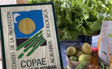 El COPAE convoca elecciones para renovar la composición de su órgano de gobierno