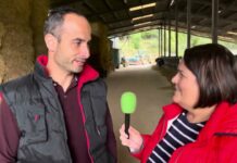 Entrevista a Enol Egocheaga de Ganadería La Cobertoria S.C. en San Justo (Villaviciosa)