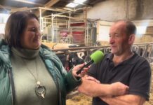 Entrevista a Nicolás Sierra González de Ganadería SICO S.C. de Gajano (Cantabria)