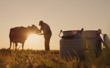El Principado abona hoy más de 19 millones de las ayudas de la PAC