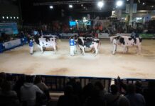 La feria Abanca Cimag-GandAgro celebrará su 5ª edición del 20 al 22 de febrero