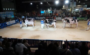 La feria Abanca Cimag-GandAgro celebrará su 5ª edición del 20 al 22 de febrero