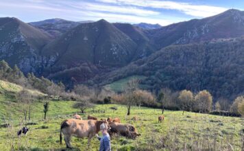 “Ir a ver los animales y encontrar un daño por el lobo te baja la moral”
