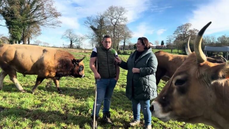 Entrevista a ‘Kike Pereda’, ganadero de La Pereda (Tineo)