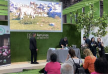 Ternera Asturiana colocará a Asturias en el mapa del sabor en Fitur y Fusión