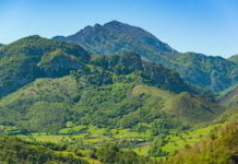 Asturias confirma la expansión territorial y el crecimiento continuo de la población de lobos en el Noroeste en un estudio conjunto con las comunidades vecinas