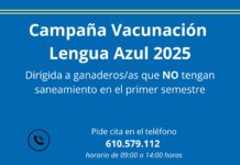 Medio Rural activa un número de teléfono de cita previa para la campaña de vacunación voluntaria de la lengua azul