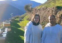 Miel El Truébano: “Es difícil producir miel, pero venderla también cuesta”