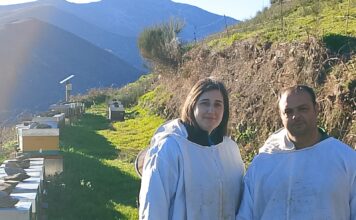 Miel El Truébano: “Es difícil producir miel, pero venderla también cuesta”