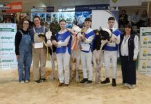 Iker García, campeón del XX Concurso de Preparadores de Ganado Frisón GandAgro´25