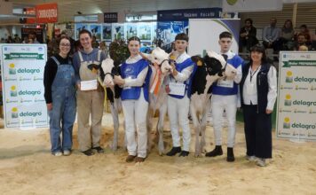Iker García, campeón del XX Concurso de Preparadores de Ganado Frisón GandAgro´25