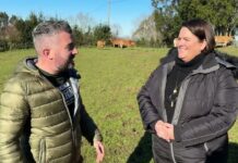 Entrevista a Pedro ‘Paniceres’, ganadero de Villaviciosa