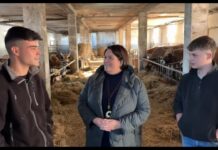 Entrevista a Luismi y Esteban Alba Fernández de Ganadería Casa Gregorio de Trones (Cangas del Narcea)