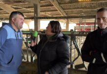 Entrevista a Jairo Álvarez Barrera, Ganadería Gorrello S.C. de Presno (Castropol)