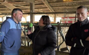 Entrevista a Jairo Álvarez Barrera, Ganadería Gorrello S.C. de Presno (Castropol)