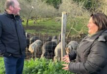 Entrevista a José Antonio Lebredo, impulsor de Agroturismo Lebredo en Villacondide (Coaña)