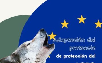 Esto no es un cuento: los lobos están aquí y los ganaderos lo saben