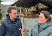 Fernando López Menéndez, veterinario y ganadero de Villar de Bergame (Cangas del Narcea)
