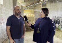 Entrevista a Carlos Sánchez de Ganadería Samasilva de Huexes (Parres)