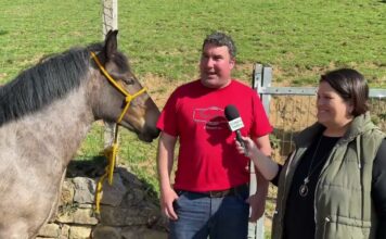 Entrevista a Mario de Ganadería La Enseca Hermanos Mieres Gómez de Morcín