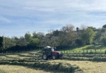 Medio Rural apoya con 300.000 euros la modernización y mejora de las explotaciones de cooperativas y sociedades agrarias