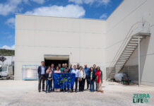 El proyecto Zebra transforma un subproducto de la industria papelera en un aditivo antioxidante renovable