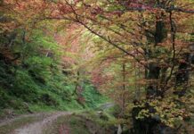 Medio Rural publica las bases de las ayudas europeas Leader, dotadas con 15 millones para fomentar el empleo y fijar población