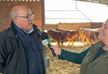 Entrevista a Eleuterio de Ganadería Hermanos Martín García de Coria (Cáceres)