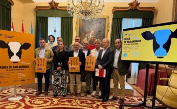 Todo listo para la Feria de San Antonio y el Concurso Regional de Frisona en Gijón