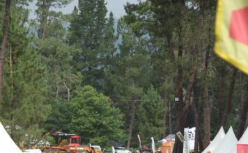 Asturforesta 2025, demostraciones reales, tecnología puntera y oportunidad global