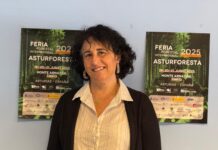 Construyendo el futuro del sector forestal