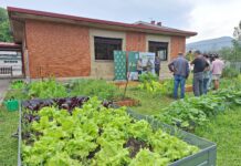El Colegio L’Ablanu de Infiesto gana el Premio COPAE “Semilla de Innovación en el Huerto Escolar”