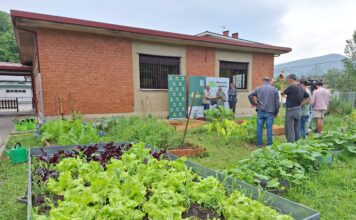 El Colegio L’Ablanu de Infiesto gana el Premio COPAE “Semilla de Innovación en el Huerto Escolar”