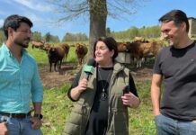 Entrevista a Rean Sugahara y Luis César Correa del Grupo Roncador (Brasil)