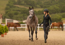 Todo listo para dar comienzo al CSI Maeza: 190 caballos superan la inspección y arranca la gran cita internacional del salto