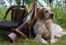 La RFEC presenta alegaciones contra los nuevos reales decretos de bienestar animal por atentar contra la caza